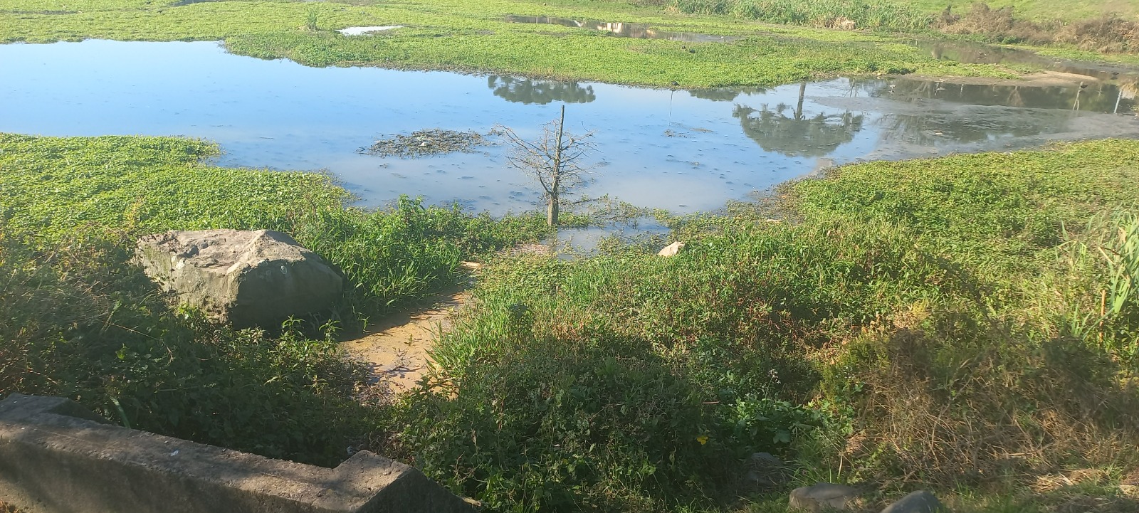 Foto Lago 2