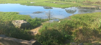 Foto Lago 2